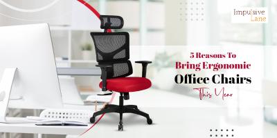 5 Reasons To Bring Ergonomic Office Chairs This Year