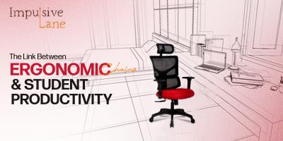 The Link Between Ergonomic Chairs and Student Productivity